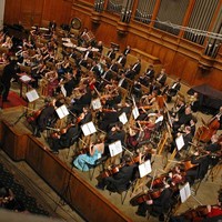 «Новая Россия» в лайковых перчатках