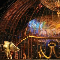 Продаются птицы. Обращаться:  Петербург, Театр музыкальной комедии