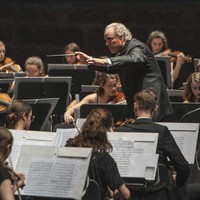 Сквозь влажных сумерек печаль