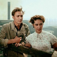 «Высота» — фильм о красоте