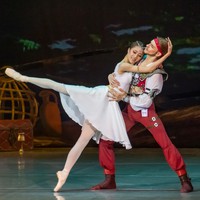 Танцующие пираты и поющие заговорщики