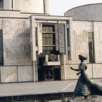 Апельсиновый урожай