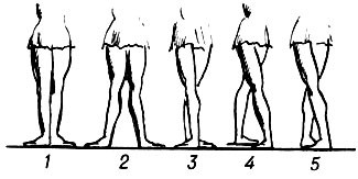 Позиции ног: I, II, III, IV, V
