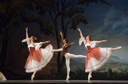 «Лебединое озеро»